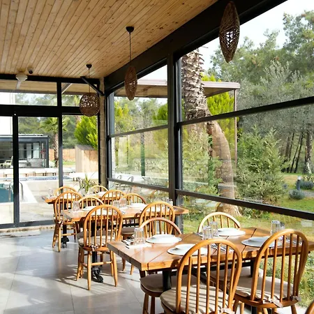 Garrya Romo Hotel