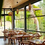 Garrya Romo *